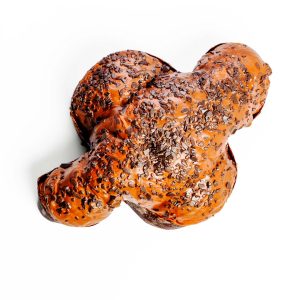Colomba al Cioccolato